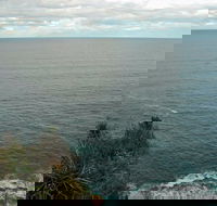 Snapper Point Lookout - Accommodation Great Ocean Road