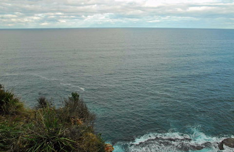 Snapper Point Lookout - Accommodation Great Ocean Road 0