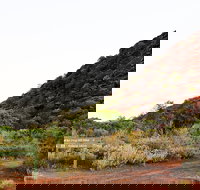 Whyalla Conservation Park - Accommodation Great Ocean Road