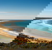 Anglesea - Accommodation Great Ocean Road