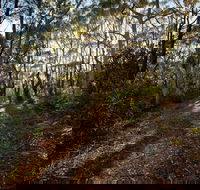 Booderee National Park Munyunga Waraga Dhugan Walking Trail - Accommodation Great Ocean Road