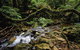Budderoo National Park - thumb 0