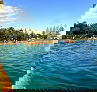 Byron Bay River Nature Kayak Tour - Accommodation Great Ocean Road