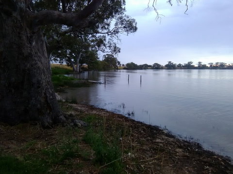 Cockatoo Lake Recreation Reserve - Accommodation Great Ocean Road 1