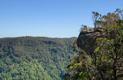 Cooks Nose Walking Track - Accommodation Great Ocean Road 0
