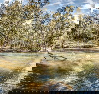 Flea Creek Picnic Area - Accommodation Great Ocean Road