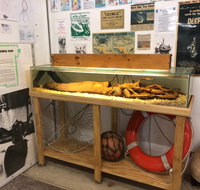 George The Giant Squid Display Wallaroo - Accommodation Great Ocean Road