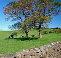 Historic Dry Stone Walls Kiama - Accommodation Great Ocean Road