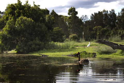 Hunter Wetlands Centre - Accommodation Great Ocean Road 0