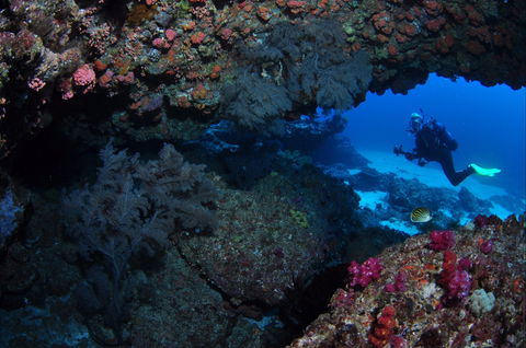 Hutchinson Shoal Dive Site - Accommodation Great Ocean Road 0