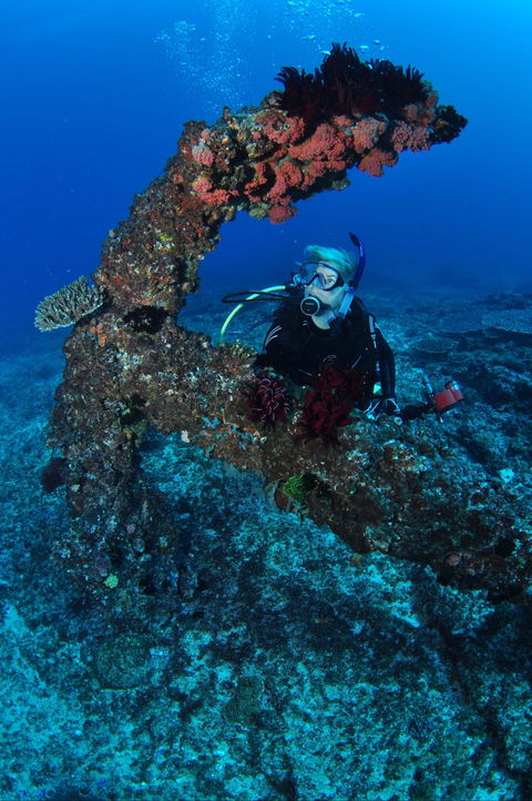 Hutchinson Shoal Dive Site - Accommodation Great Ocean Road 1