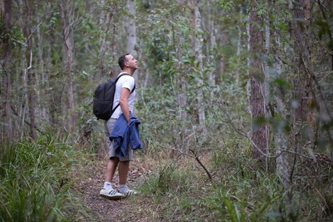 Ironbark Ridge And Spotted Gum Walking Trails - Accommodation Great Ocean Road 2