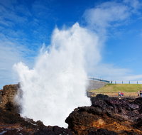 Kiama Blowhole - Accommodation Great Ocean Road