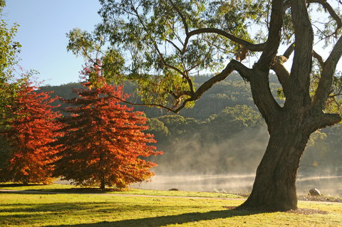 Lake Alexandra Reserve - Accommodation Great Ocean Road 2