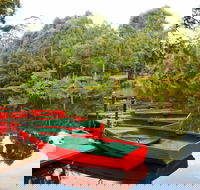 Lane Cove National Park - Accommodation Great Ocean Road