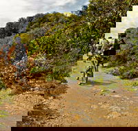 Mountain Biking Trails - Accommodation Great Ocean Road