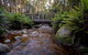 O'Neills Creek Picnic Reserve - thumb 0