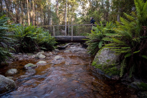 O'Neills Creek Picnic Reserve - Accommodation Great Ocean Road 0