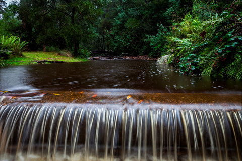 O'Neills Creek Picnic Reserve - Accommodation Great Ocean Road 1