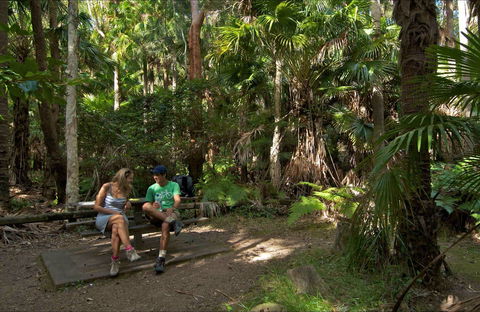 Palms Picnic Area - Accommodation Great Ocean Road 0
