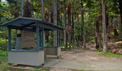 Palms Picnic Area - Accommodation Great Ocean Road 1