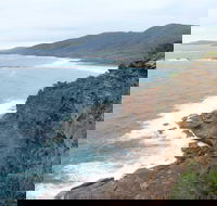 Pretty Beach to Snapper Point Walking Track - Accommodation Great Ocean Road