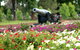 Queens Park, Toowoomba - thumb 1