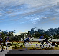 Richmond Lowlands - Accommodation Great Ocean Road