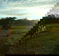 Scenic NSW Horse Riding Centre - Accommodation Great Ocean Road