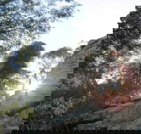 Store Creek Picnic Area - Accommodation Great Ocean Road