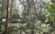Tallaganda National Park - thumb 0