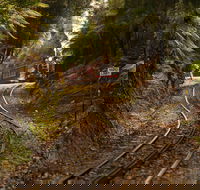 The West Coast Wilderness Way - Accommodation Great Ocean Road
