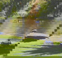 The Lions Junction Park - Tumut - Accommodation Great Ocean Road