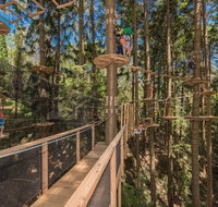 TreeTops Sydney The Hills - Accommodation Great Ocean Road