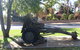 War Gun Trophy - thumb 1