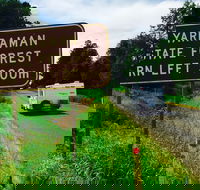 Yarraman - Accommodation Great Ocean Road