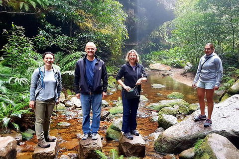 Private Blue Mountains Day Tour Including Wildlife Park - Accommodation Great Ocean Road 2