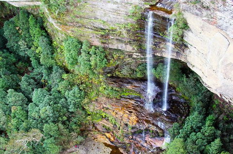 Private Blue Mountains Day Tour Including Wildlife Park - Accommodation Great Ocean Road 1