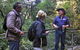 Private Blue Mountains Day Tour Including Wildlife Park - thumb 6