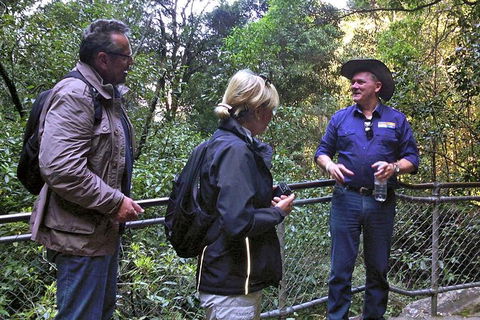 Private Blue Mountains Day Tour Including Wildlife Park - Accommodation Great Ocean Road 6