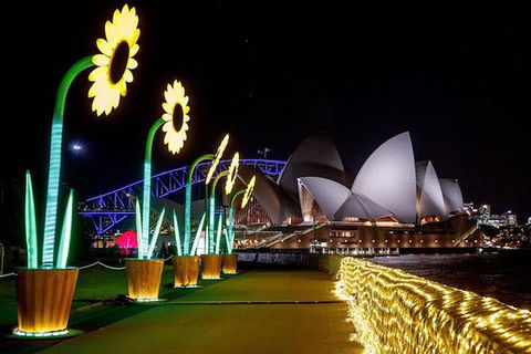 Vivid 90-Minute Sydney Harbour Intimate Catamaran Cruise With Canapes - Accommodation Great Ocean Road 4