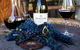 Hunter Valley Wine Tours | Wine Tasting Tours From Sydney OR Hunter Valley - thumb 4