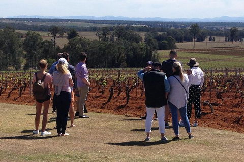 Hunter Valley Wine Tours | Wine Tasting Tours From Sydney OR Hunter Valley - Accommodation Great Ocean Road 14