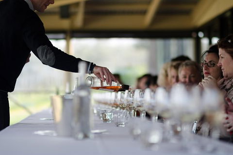 Hunter Valley Wine & Wildlife Tour (Private Tour From Sydney) - Accommodation Great Ocean Road 8