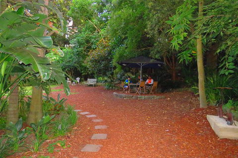 Beautiful Sydney Sunriser Kayaking Tour - Accommodation Great Ocean Road 3