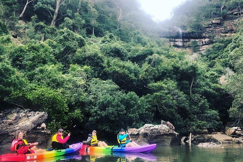 Hawkesbury River Kayak Adventure - Accommodation Great Ocean Road 9