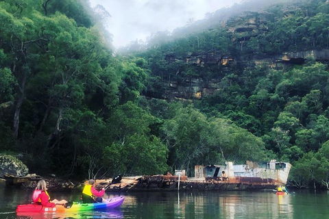 Hawkesbury River Kayak Adventure - Accommodation Great Ocean Road 0