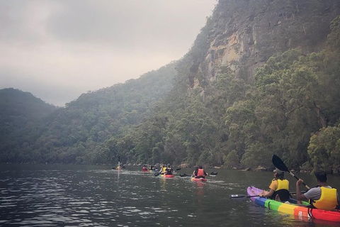 Hawkesbury River Kayak Adventure - Accommodation Great Ocean Road 4