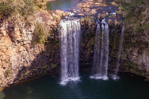 Rainforest & Waterfall Experience - Accommodation Great Ocean Road 1