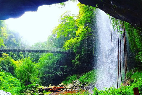 Rainforest & Waterfall Experience - Accommodation Great Ocean Road 6
